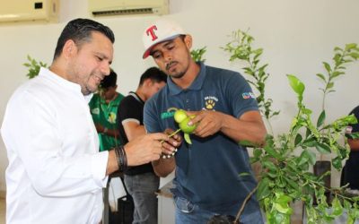 ¡Clase de Injertos en la Ingeniería de Agricultura Sustentable y Protegida!