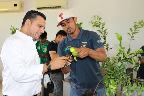 ¡Clase de Injertos en la Ingeniería de Agricultura Sustentable y Protegida!