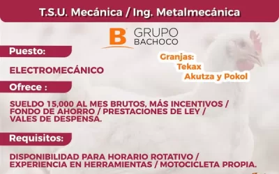 Atención egresados