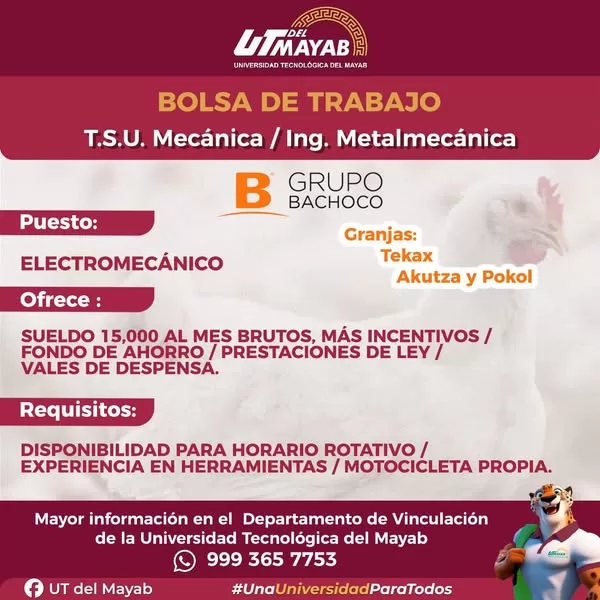 Atención egresados