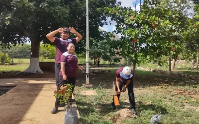 ¡Los futuros chefs de la UT del Mayab se ponen verdes!