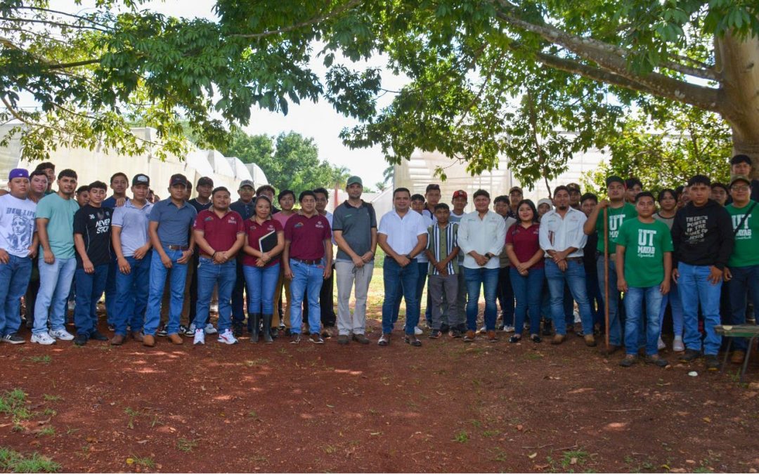 “Proyecto de Validación de Variedades en Mejoras de Maíz y Frijol del INIFAP para su Adaptación a la Península de Yucatán”